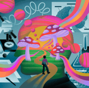 Dr. Stephanie Hartselle on Psychedelics